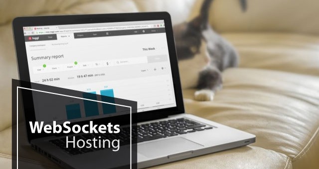 Best and Cheap ASP.NET 4.5 WebSockets Hosting With Rich Features & High Performance